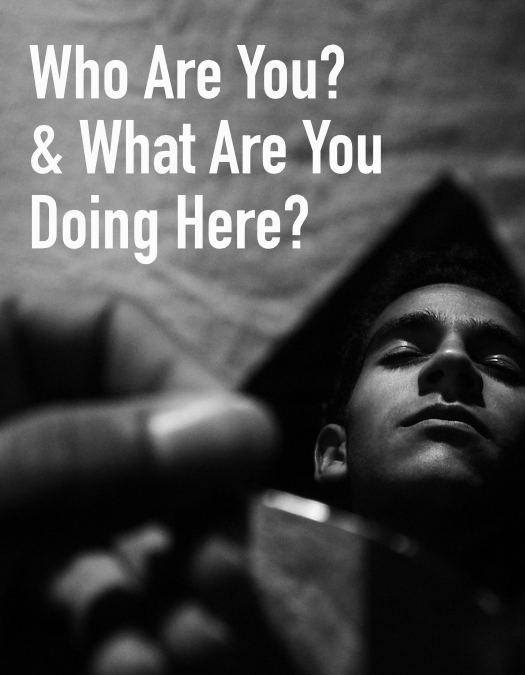 Who Are You and What Are You Doing Here? Display Image