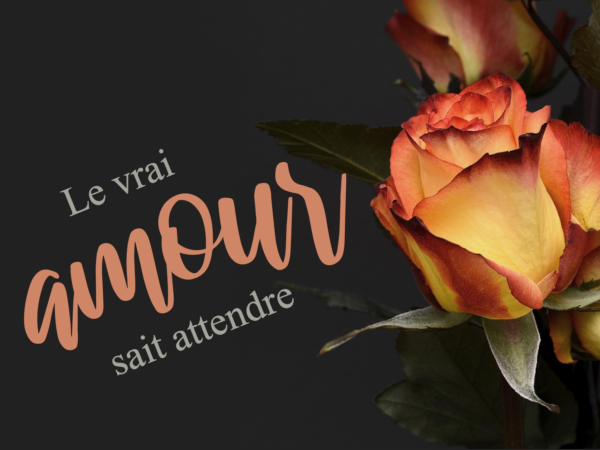 Le vrai amour sait attendre نمایش تصویر