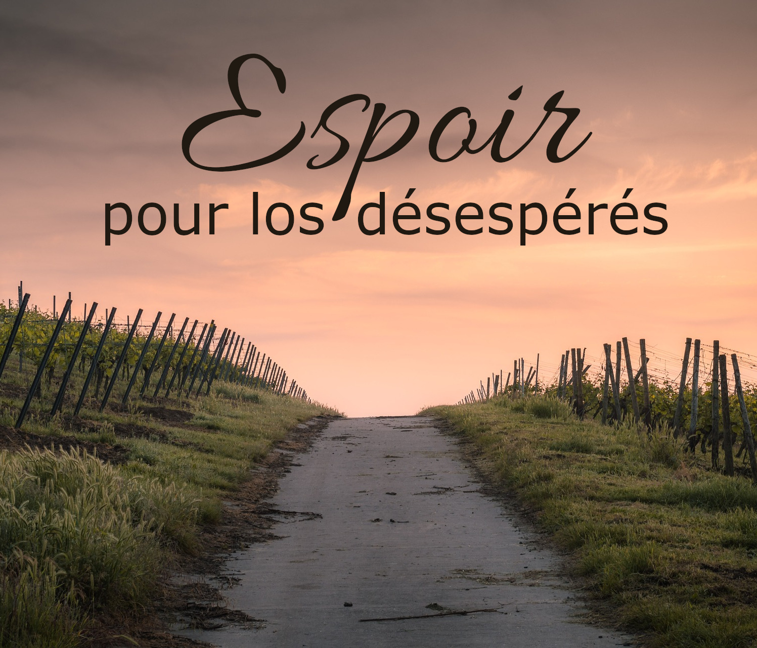 Espoir pour les désespérés نمایش تصویر