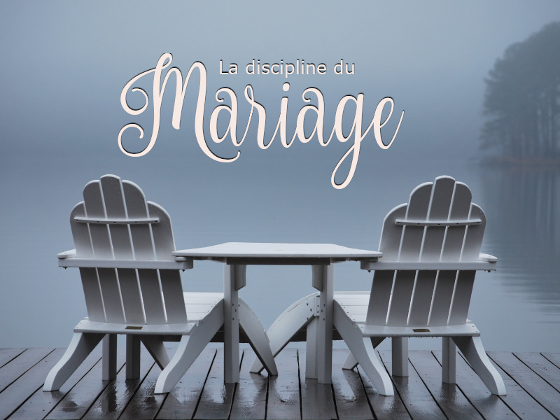 La discipline du mariage نمایش تصویر