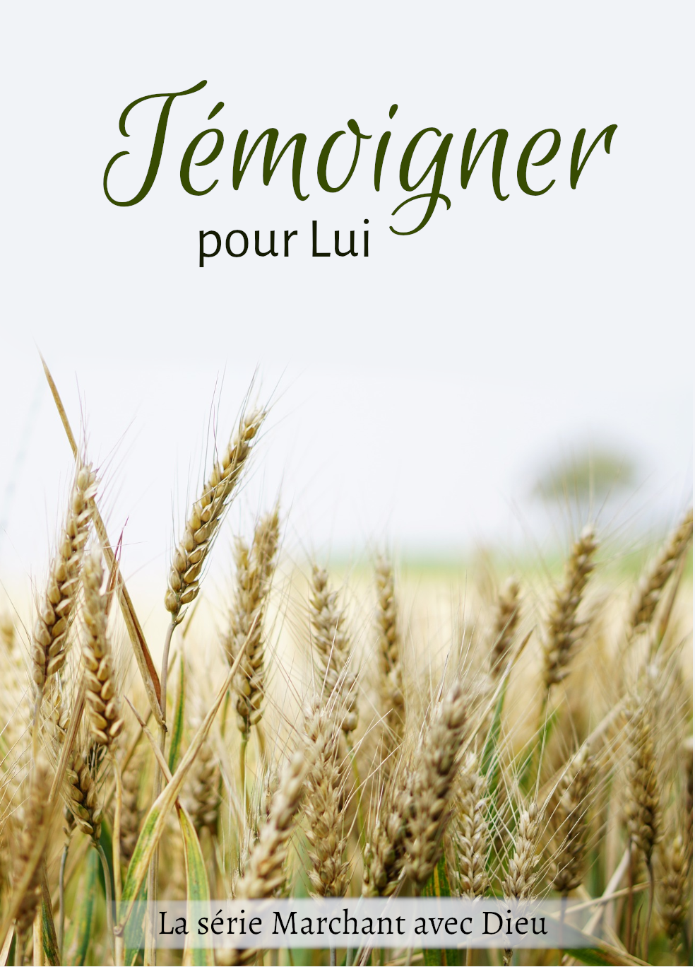 Témoigner pour Lui Afficher l'Image
