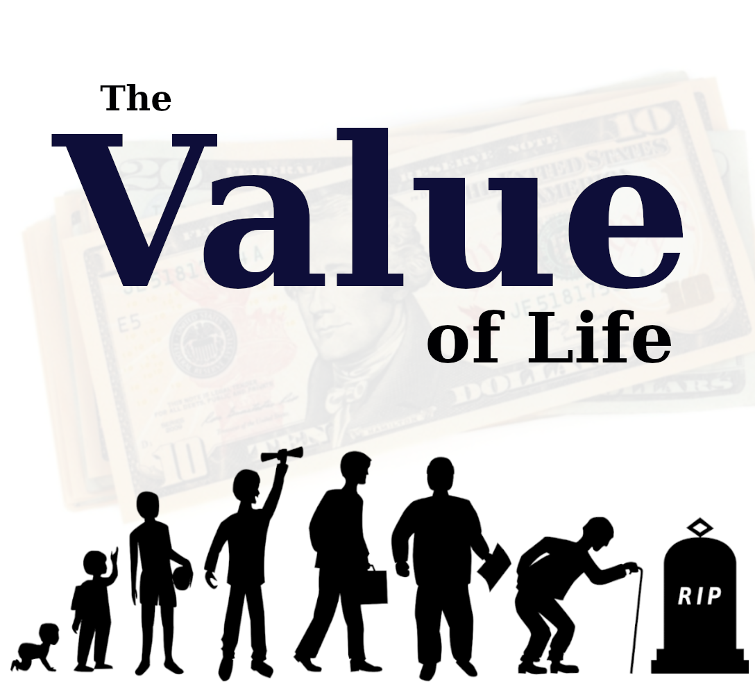 The Value of Life Display Image