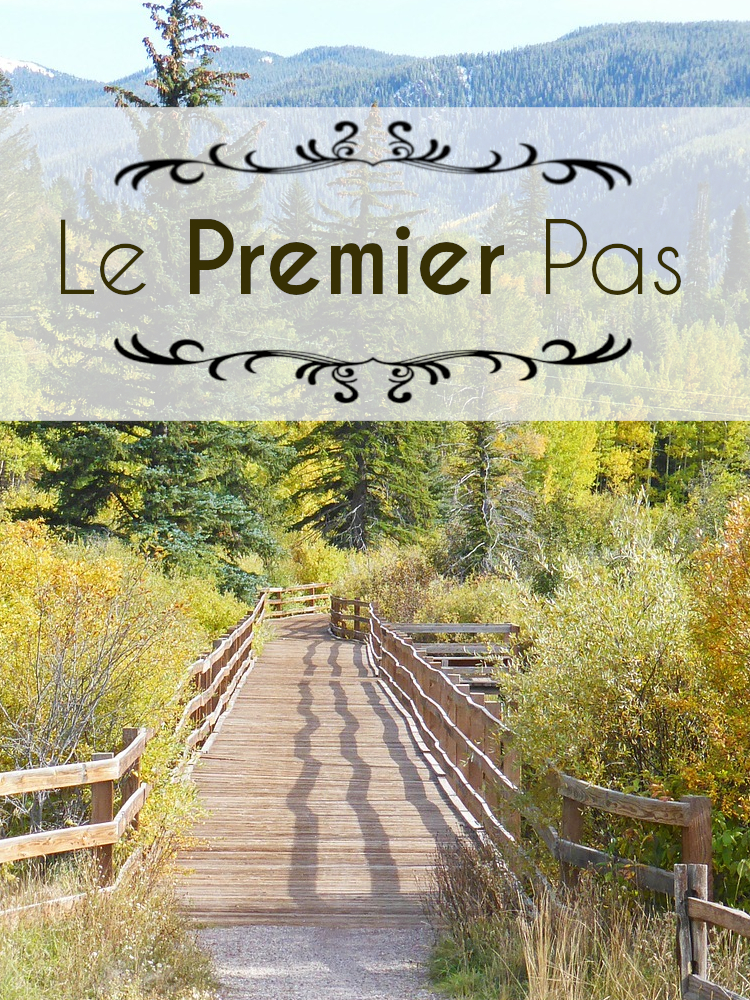 Le premier pas Afficher l'Image