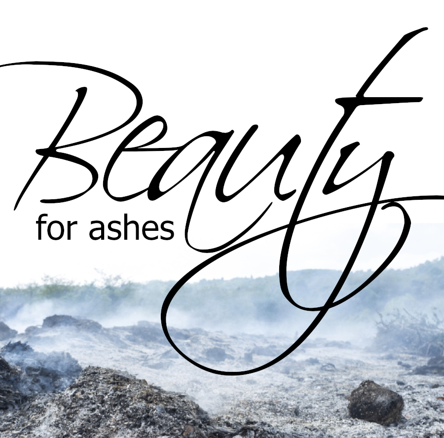 Beauty for Ashes Display Image