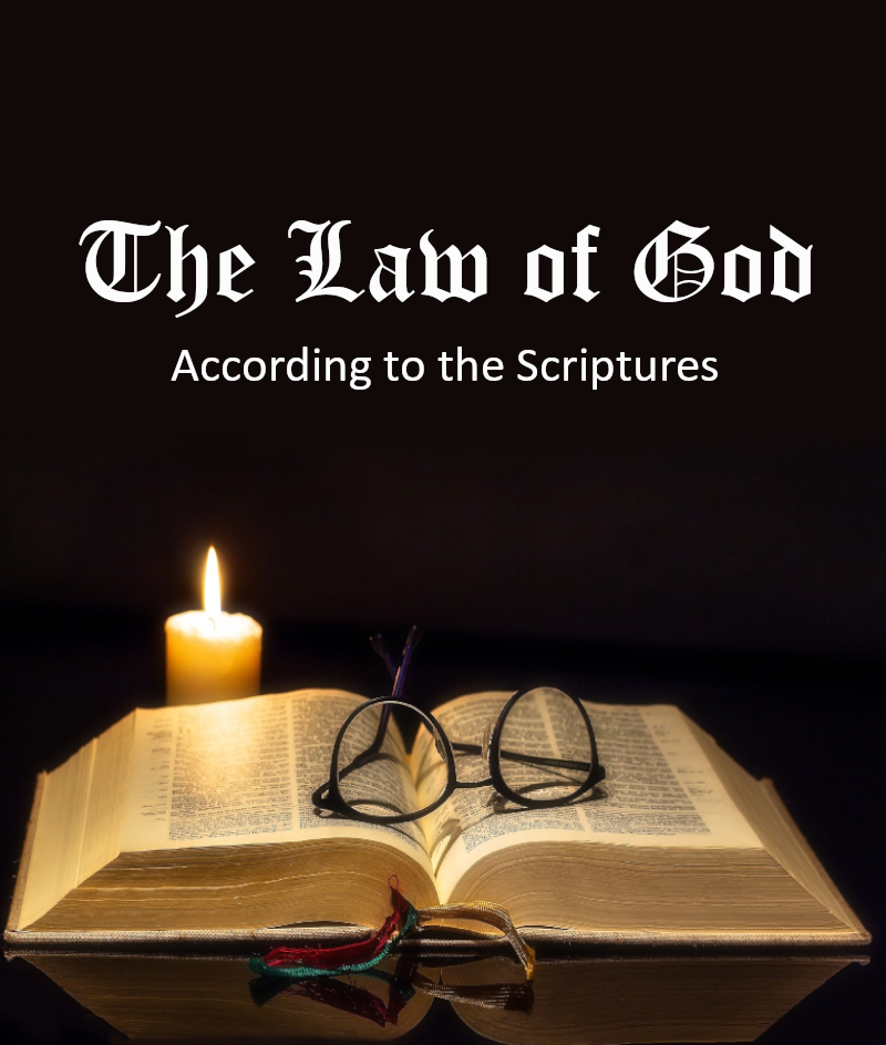 The Law of God Display Image
