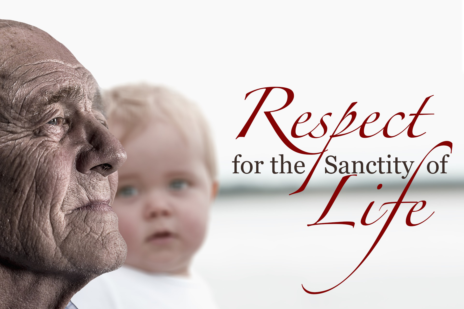 Respect for the Sanctity of Life Display Image