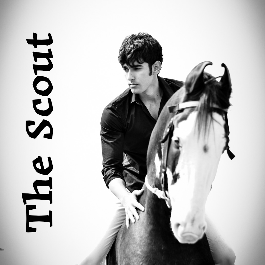 The Scout Display Image