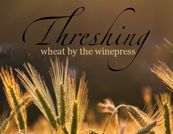 Threshing Wheat by the Winepress Display Image