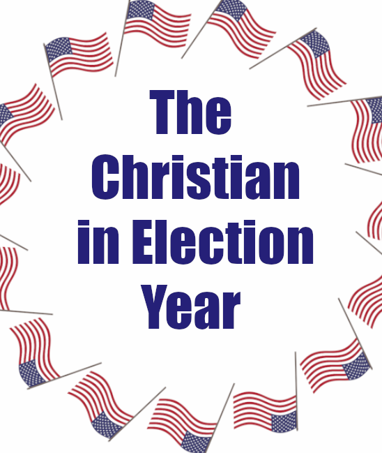 The Christian in Election Year Display Image