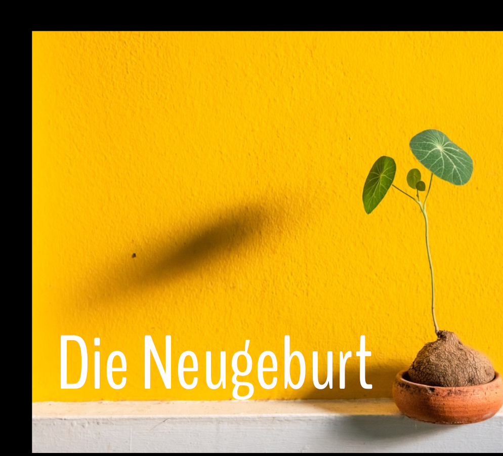 Die Neugeburt  Bild anzeigen