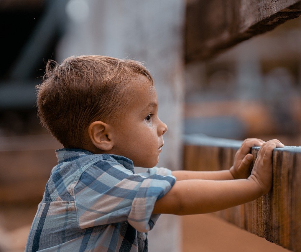 Die Verantwortung der Eltern bei der Belehrung und Erziehung ihrer Kinder Bild anzeigen
