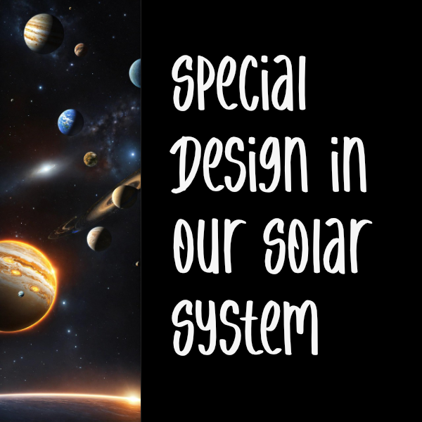 Special Design in our Solar System Display Image