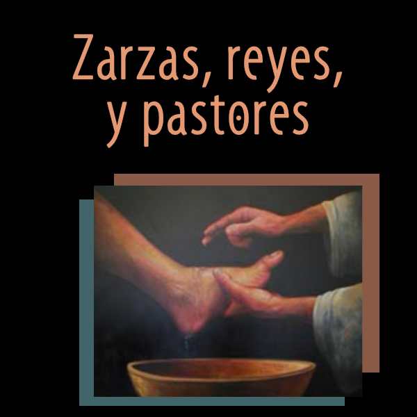 Zarzas, reyes, y pastores Mostrar imagen