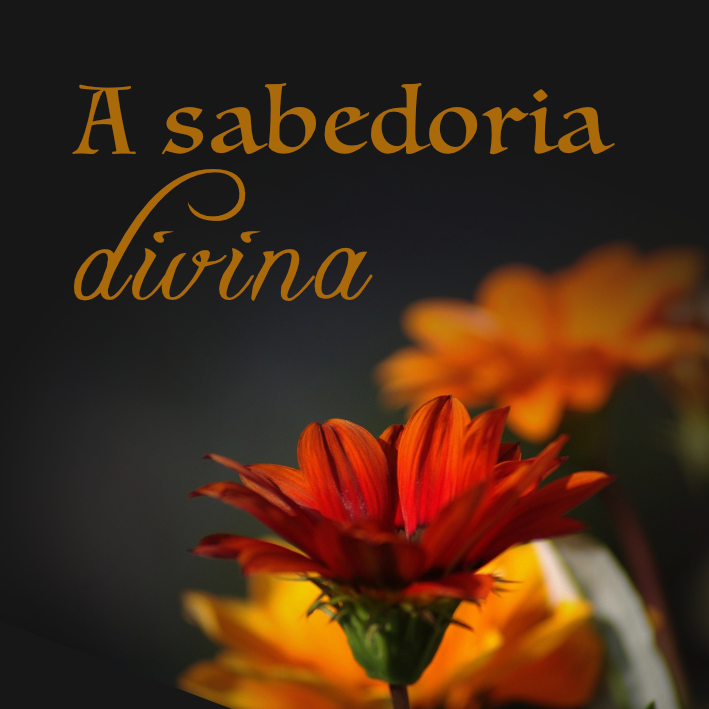 O lar cristão - A sabedoria divina Exibição de imagem