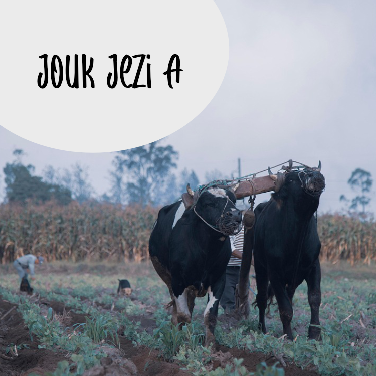 Jouk Jezi A Afiche Imaj