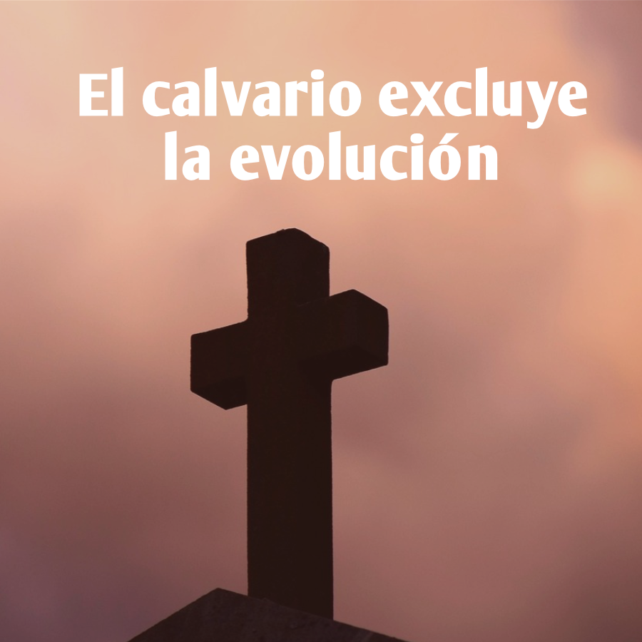 El calvario excluye la evolución Mostrar imagen