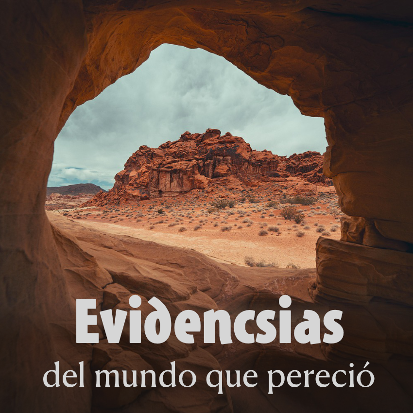 Evidencias del mundo que pereció Mostrar imagen