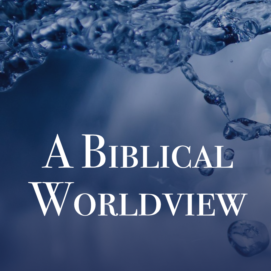 A Biblical Worldview Display Image