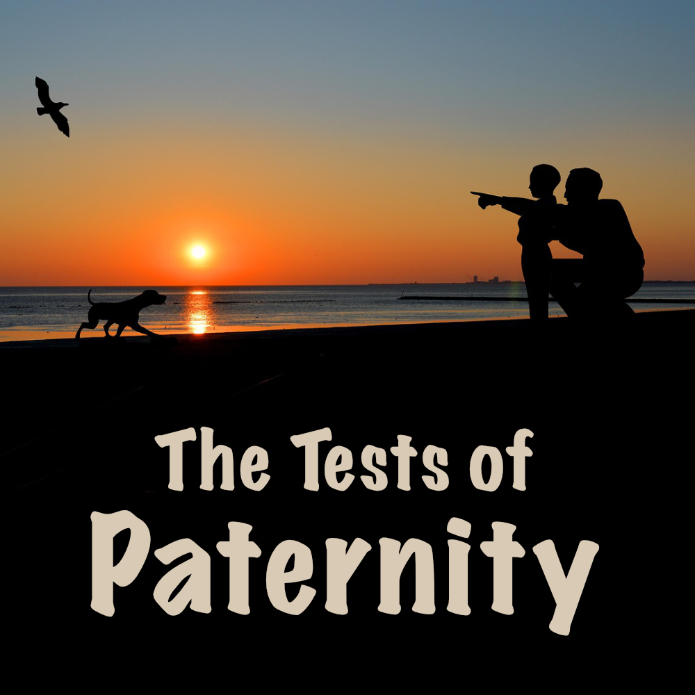 The Tests of Paternity Display Image