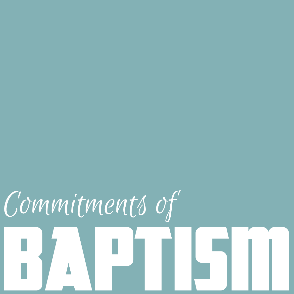 Commitments of Baptism Display Image
