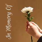 In Memory Of Display Image