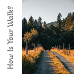 How Is Your Walk? Display Image