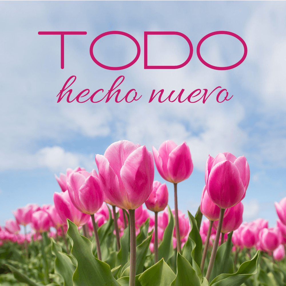 Todo hecho nuevo Mostrar imagen