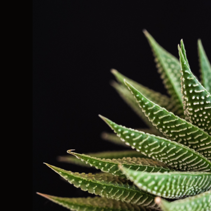 عندما يجعل الآخرون حياتك صعبة اعرض صورة