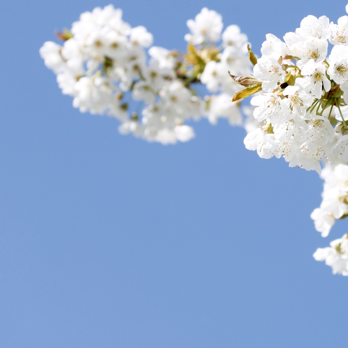 كيف نحيا بطهارة اعرض صورة