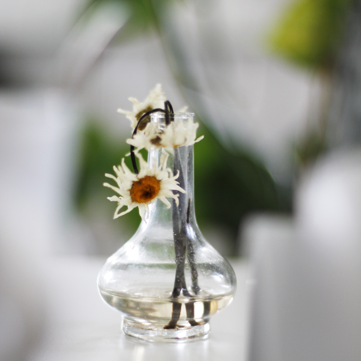 ألم الرّفض ونعمة القُبول اعرض صورة