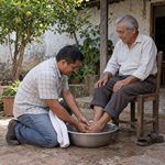 Producir el fruto de humildad Mostrar imagen