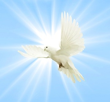 The Mission of the Holy Spirit Display Image