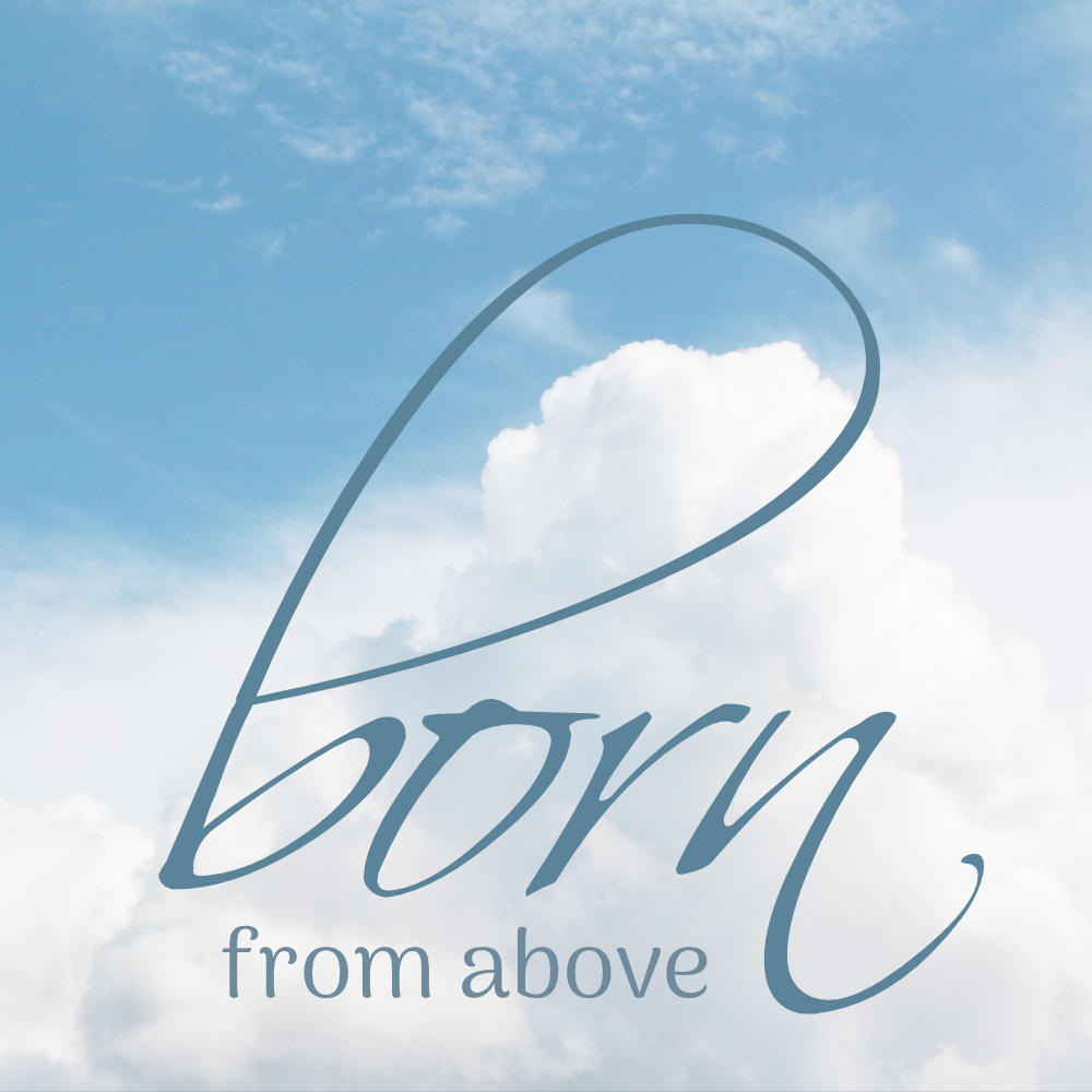 Born From Above Display Image
