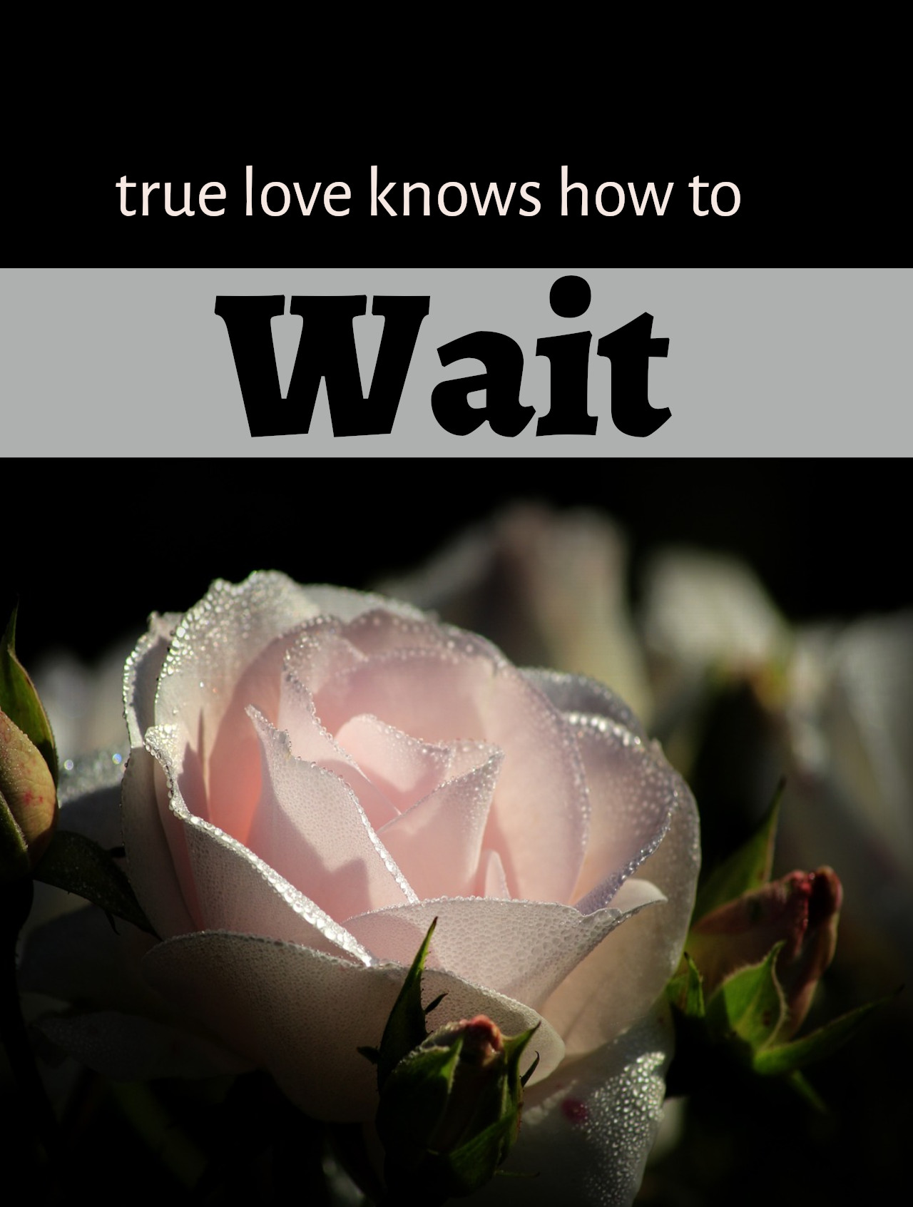 True Love Knows How to Wait Display Image