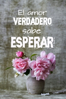 El amor verdadero sabe esperar Display Image