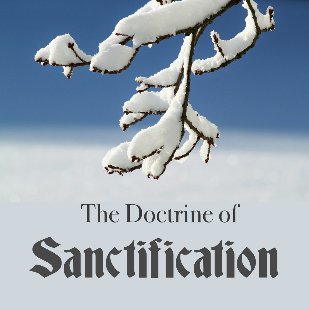 The Doctrine of Sanctification Display Image