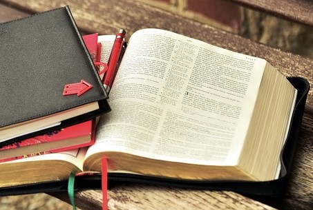 ¿Quieres estudiar la Biblia? Display Image