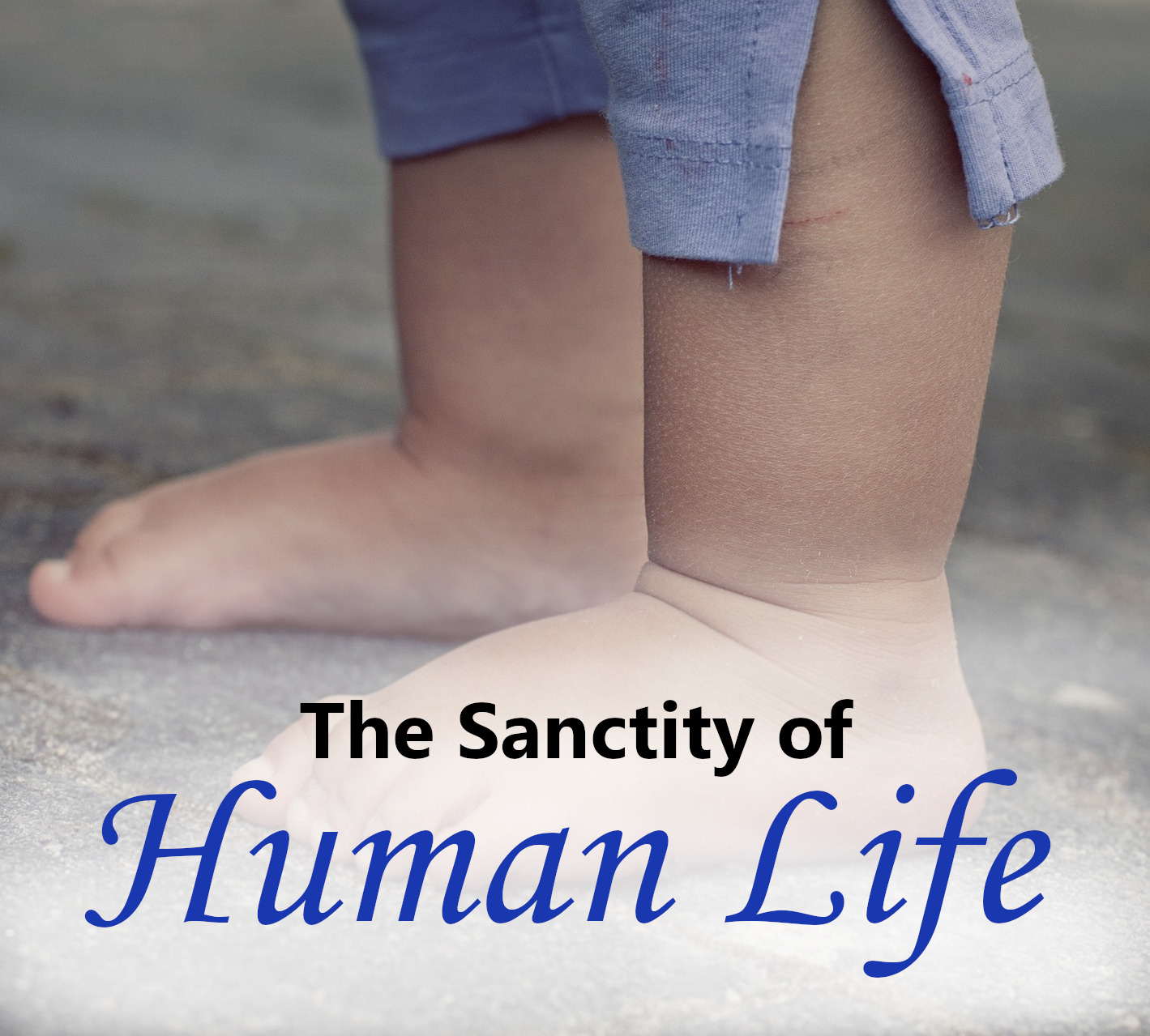 The Sanctity of Human Life Display Image