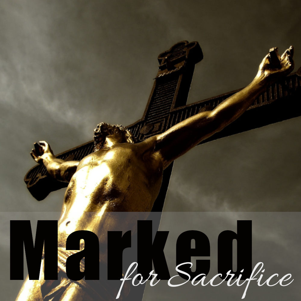 Marked for Sacrifice Display Image
