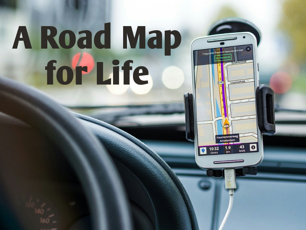 A Road Map for Life Display Image