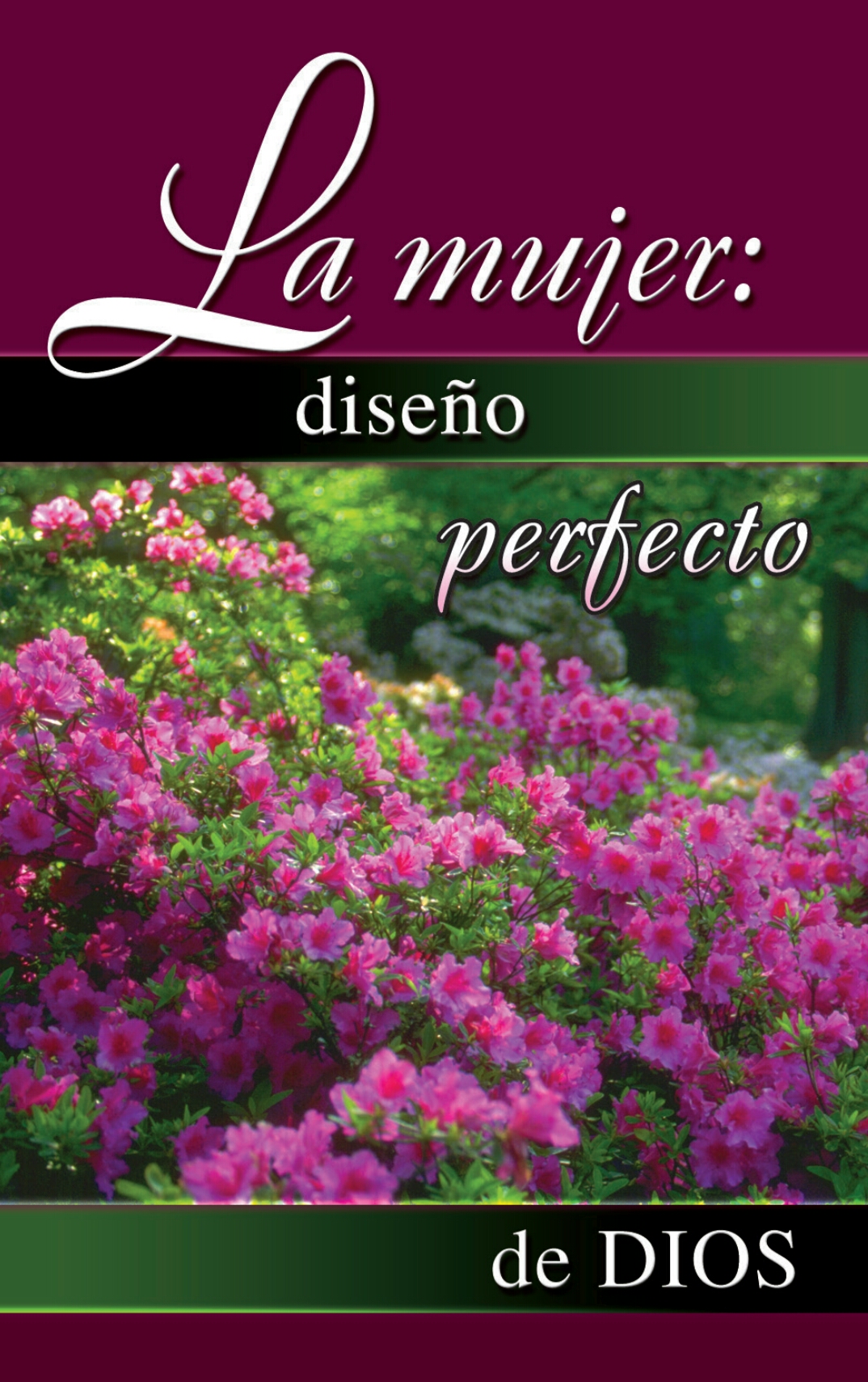 La mujer: diseño perfecto de Dios Mostrar imagen