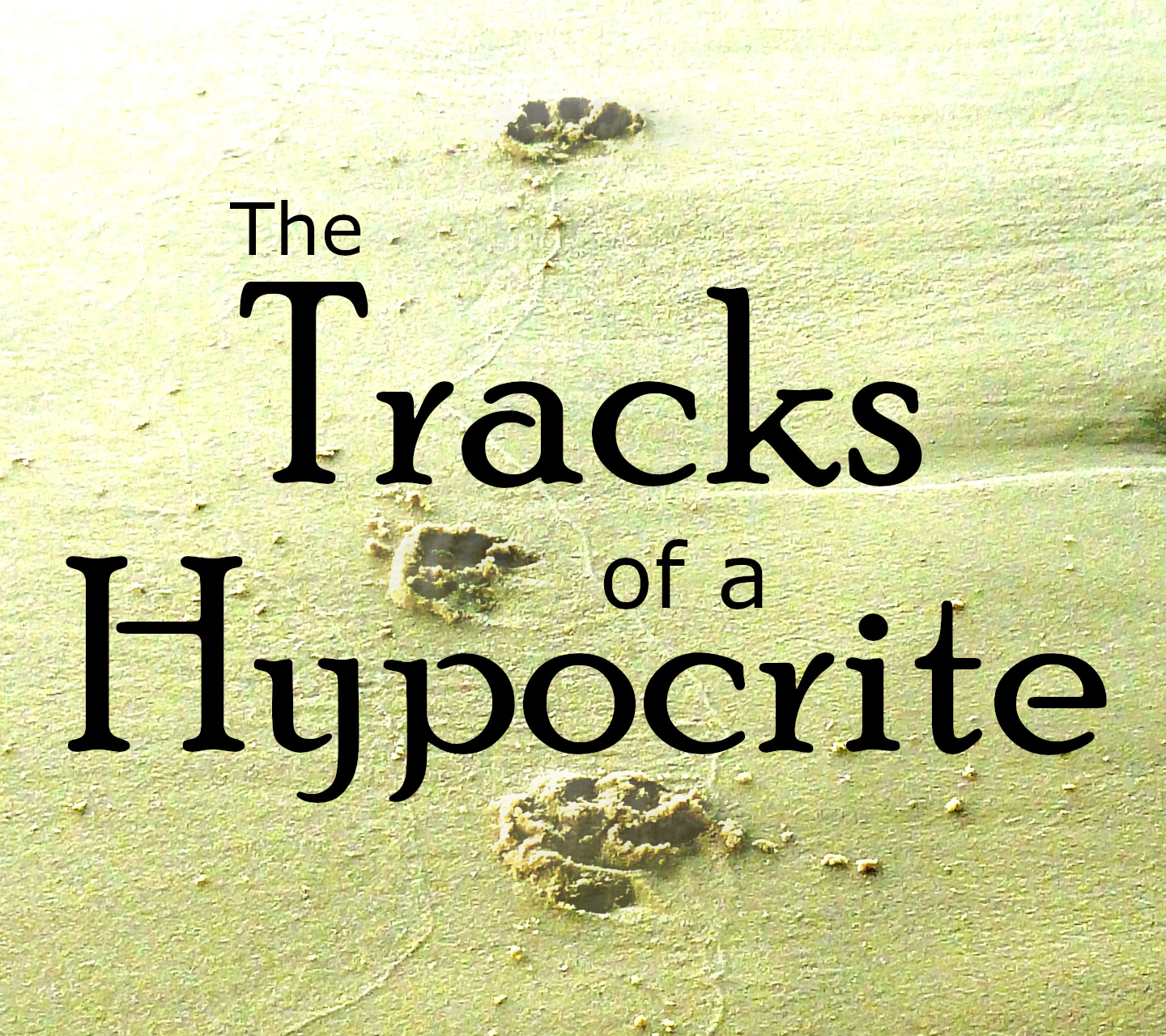 The Tracks of a Hypocrite Display Image