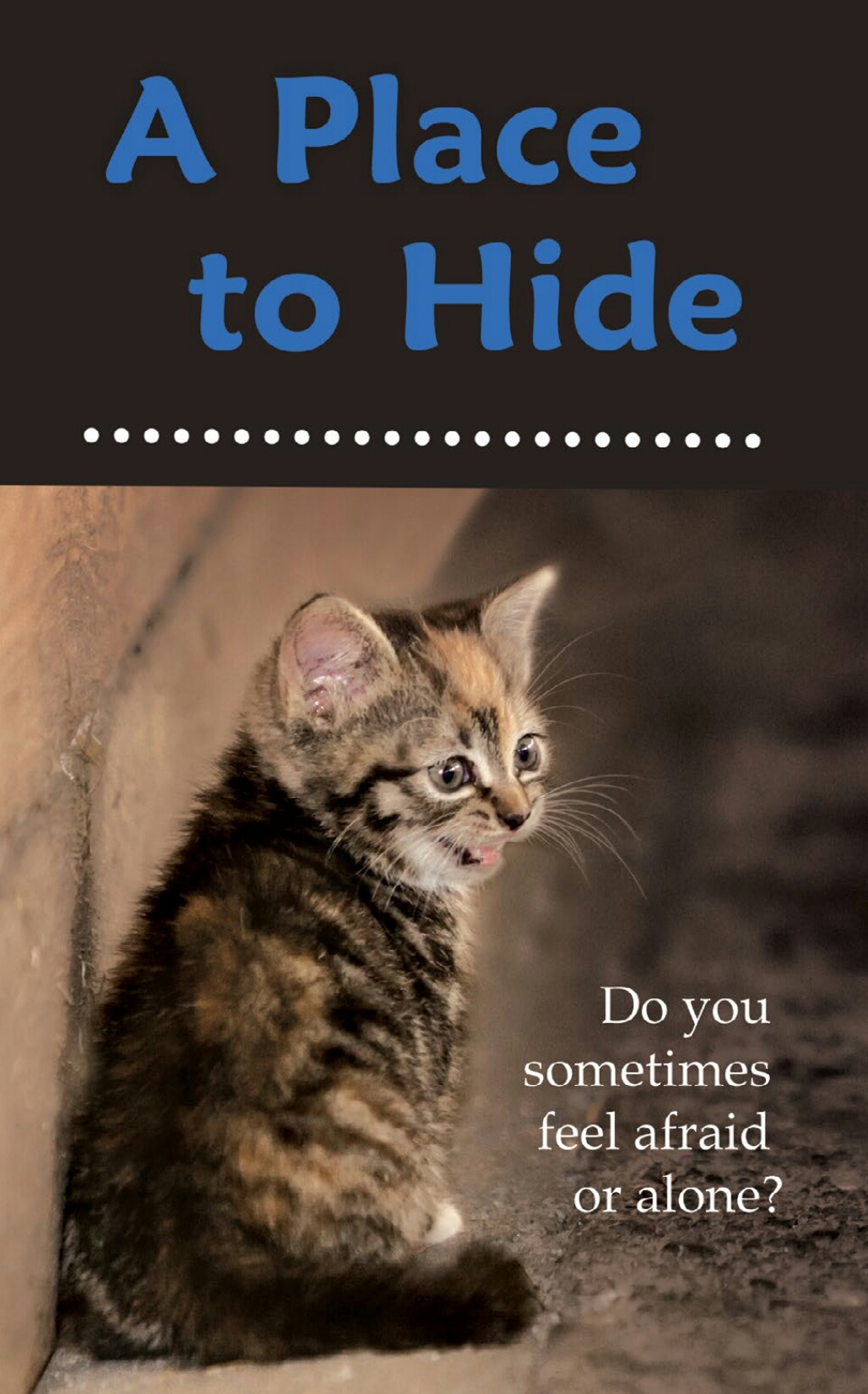 A Place to Hide Display Image